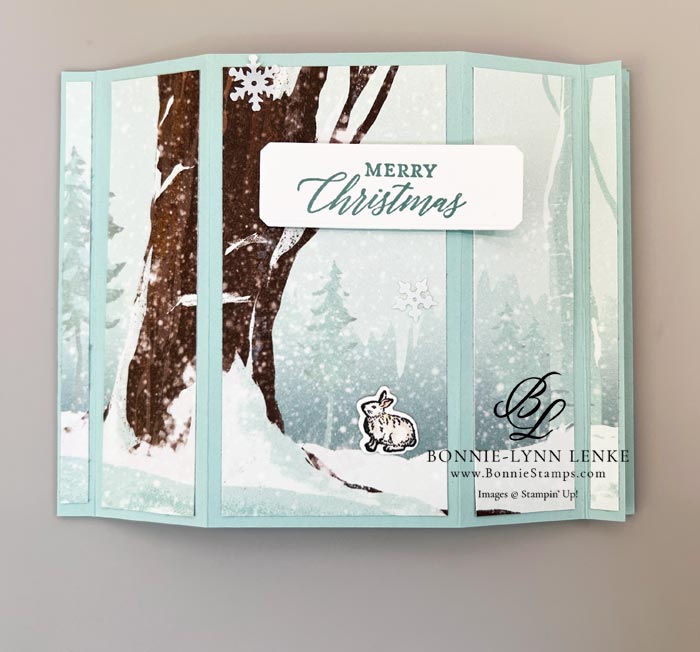 Bay Window One Horse Open Sleigh Fun Fold Card