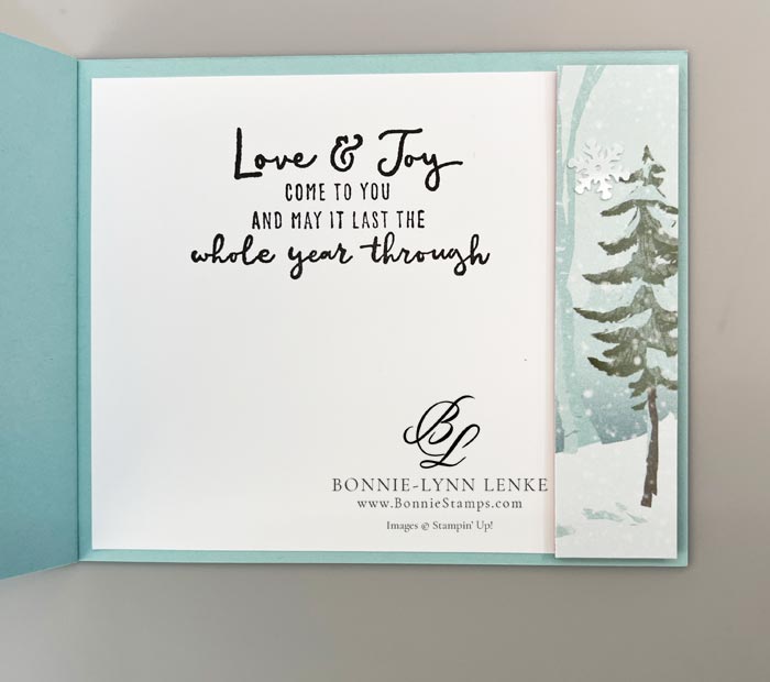 Bay Window One Horse Open Sleigh Fun Fold Card