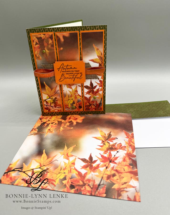 Autumn Leaves Change