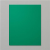 146981